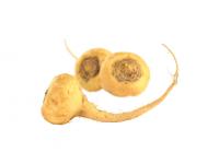 Maca en poudre Bio