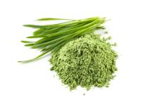 Herbe d'orge en poudre Bio
