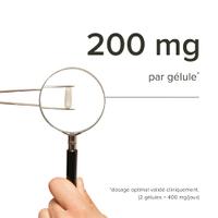 Resvératrol premium