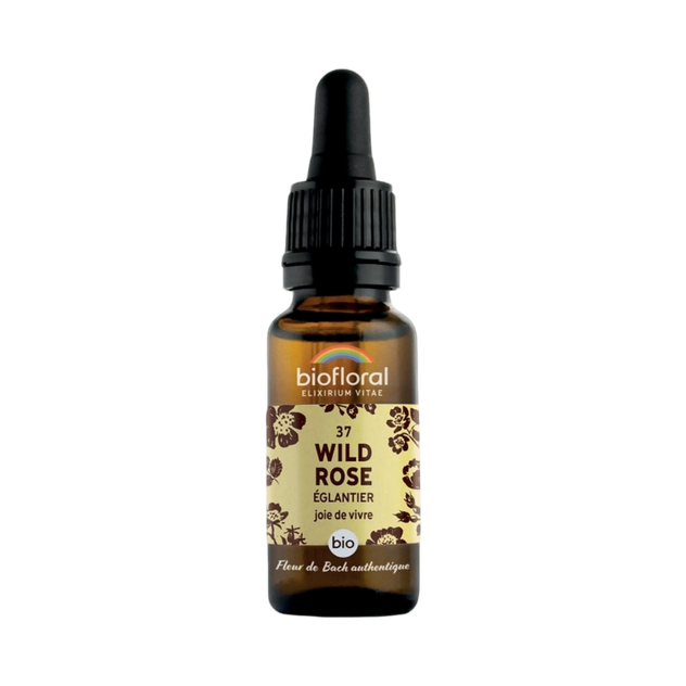 Fleur de Bach Wild Rose N°37 Bio