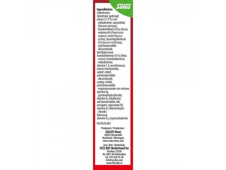 eucalyptus plant care Eucalyptus Plant | Care Guide and Pro Tips - Delivery from Toronto across  Canada main image 0