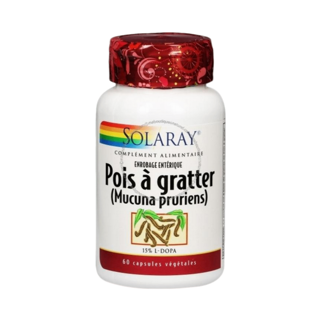 Pois à gratter Mucuna pruriens