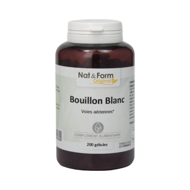 Bouillon blanc