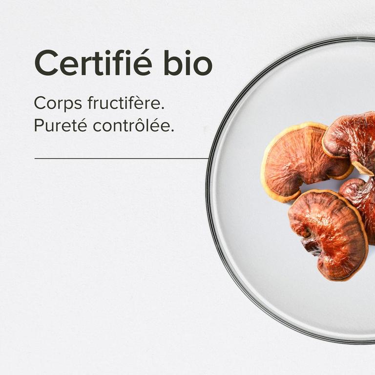 Reishi bio