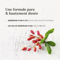 Berbérine HCI 300 mg