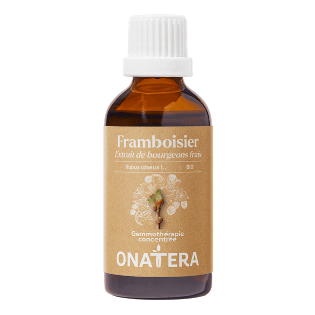 Framboisier Bourgeons Bio