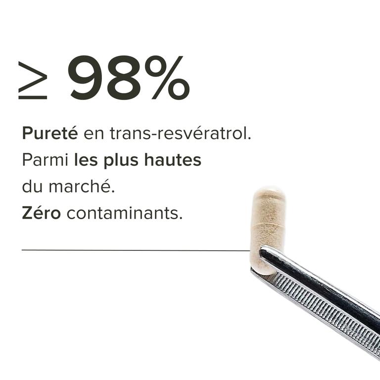 Resvératrol premium
