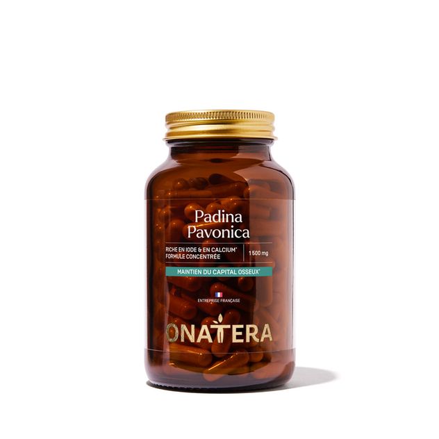 Padina Pavonica
