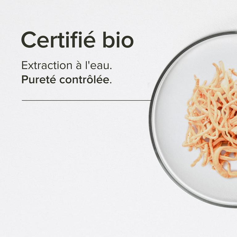 Cordyceps bio