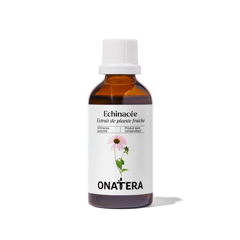 Echinacée Bio Extrait de plante fraîche