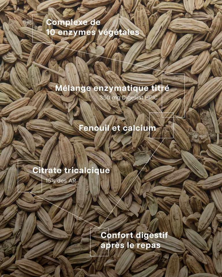 Digest enzymes