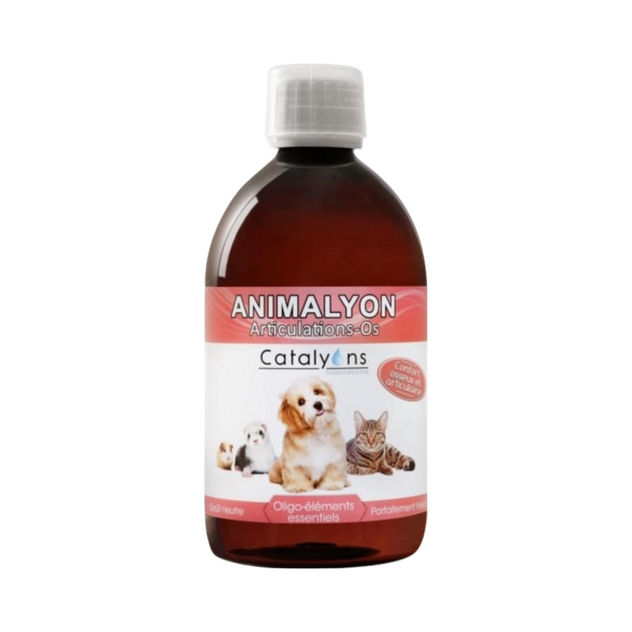 Animalyon Articulations Os