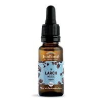 Fleur de Bach Larch N°19 Bio