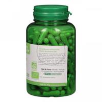 Thé vert et pissenlit Bio