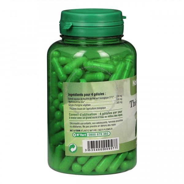 Thé Vert Bio