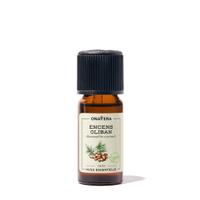 Huile essentielle Encens oliban Bio