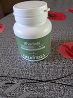 Rhodiola titrée 800 mg