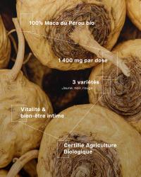 Maca du Pérou Bio