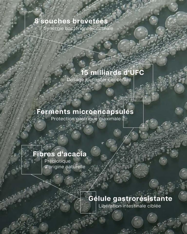 Complexe Probiotiques 8