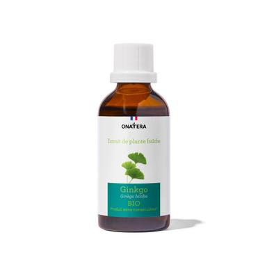 Ginkgo Biloba Bio Extrait de plante fraîche