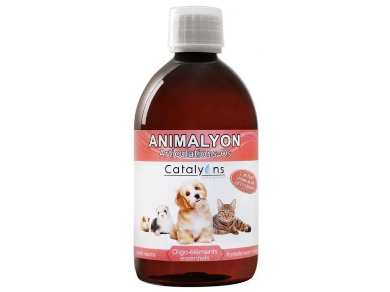 Animalyon Articulations Os