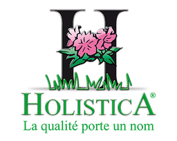Holistica