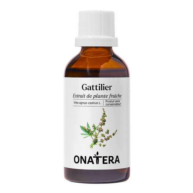 Gattilier Bio Extrait de plante fraîche
