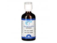 Lactacholine