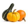 Courge