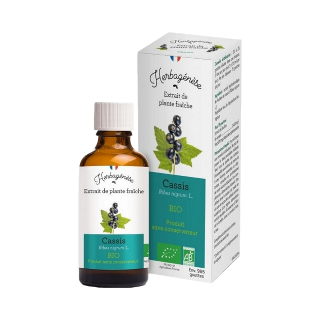 Cassis Bio Extrait de plante fraîche
