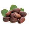 Jojoba