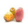 Nopal (figuier de barbarie)