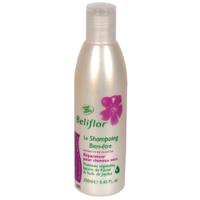 Shampooing réparateur cheveux secs