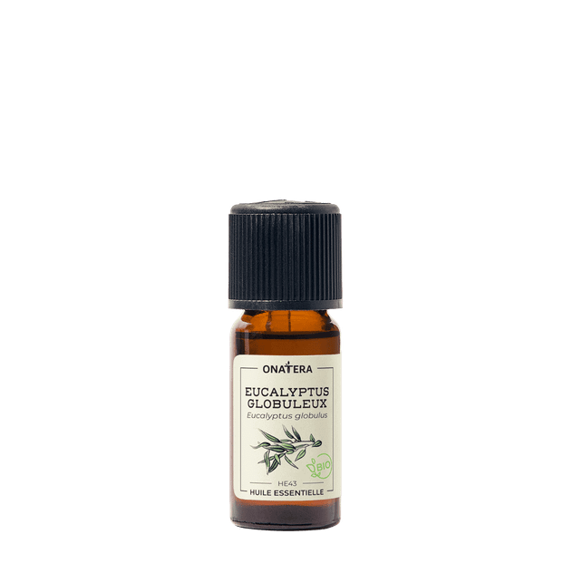 Huile essentielle Eucalyptus globuleux Bio