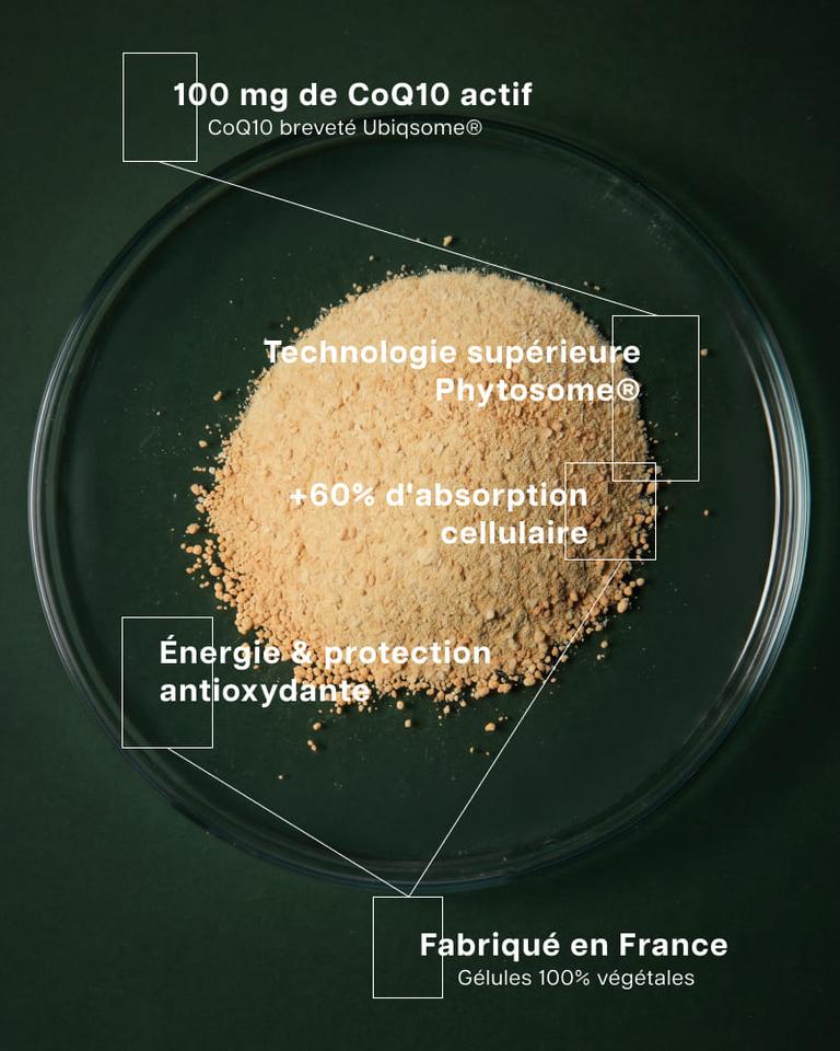 CoQ10 phytosomal premium