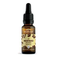 Fleur de Bach Mustard N°21 Bio