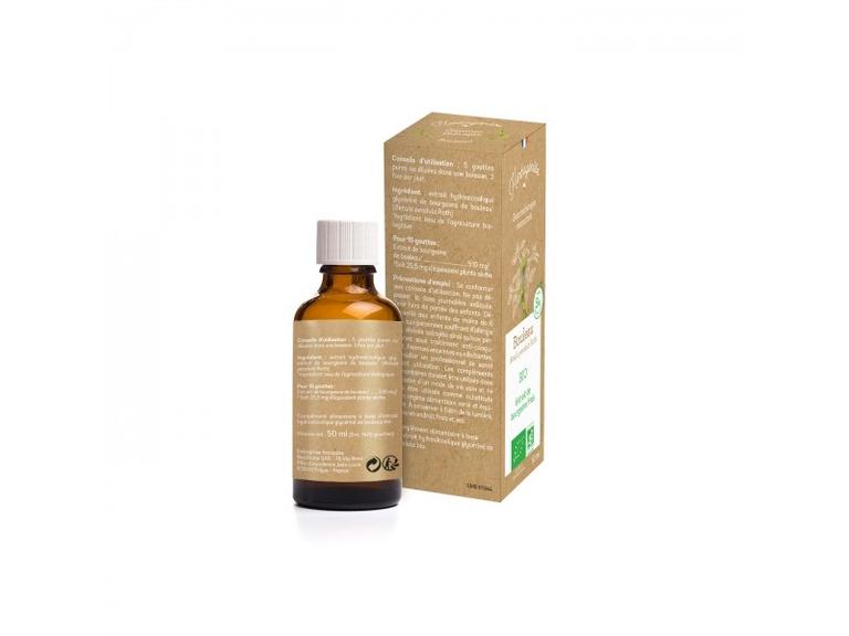 Bouleau Bourgeons Bio