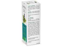 Cassis Bio Extrait de plante fraîche