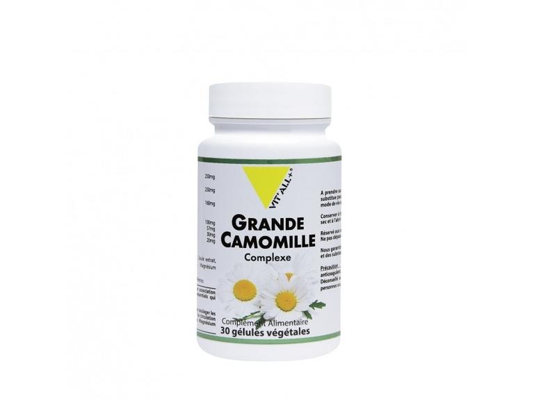 Grande Camomille Complexe
