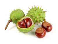 Marron D'Inde Bio