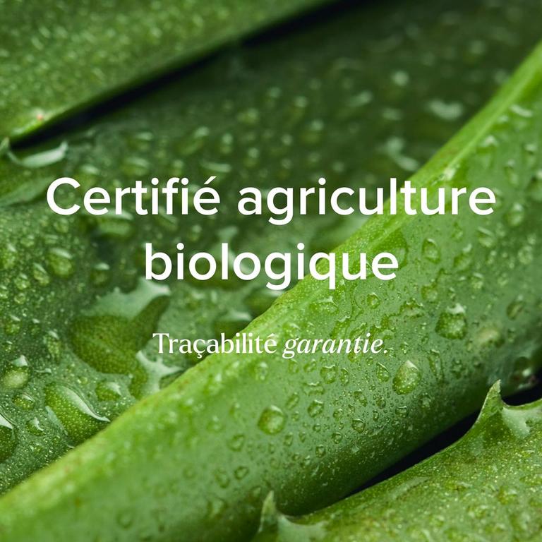 Aloe vera bio