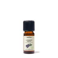 10 ml