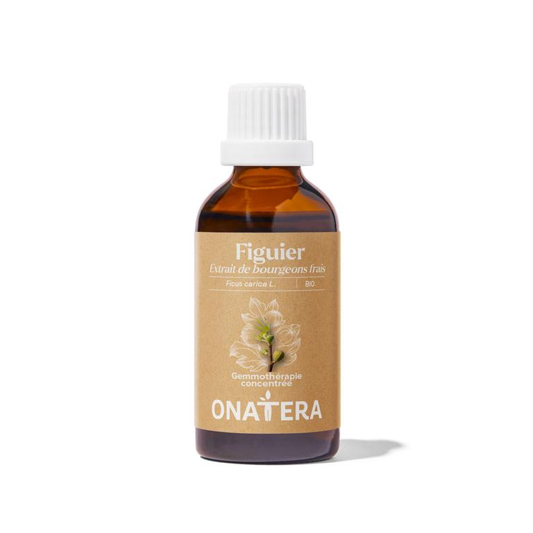 Figuier Bourgeons Bio