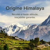 Shilajit résine pure