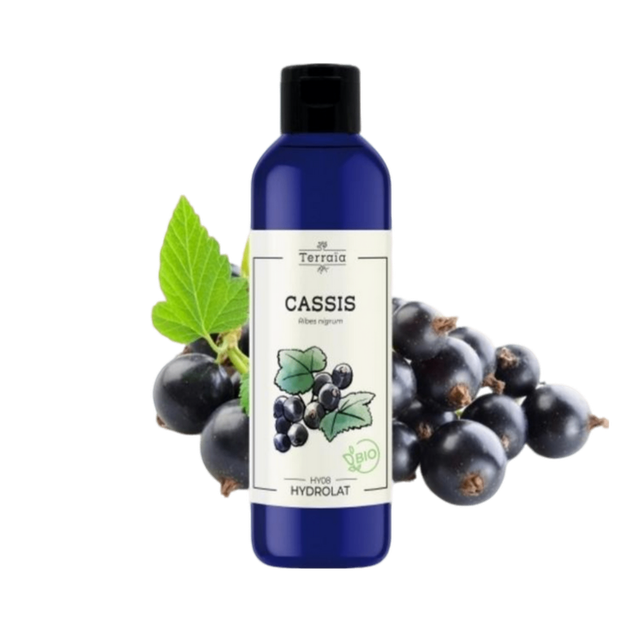 Hydrolat Cassis Bio