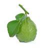 Bergamote