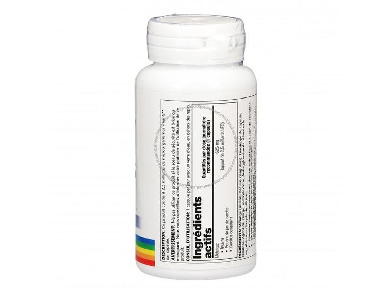 Bacillus Coagulans et Inuline
