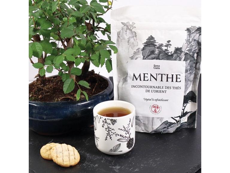 Thé vert à la Menthe Bio