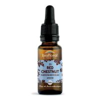 Fleur de Bach Red Chestnut N°25 Bio