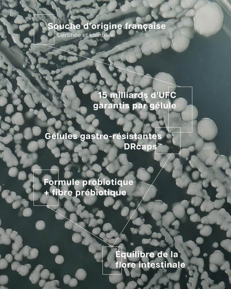 Lactobacillus Gasseri 15 milliards
